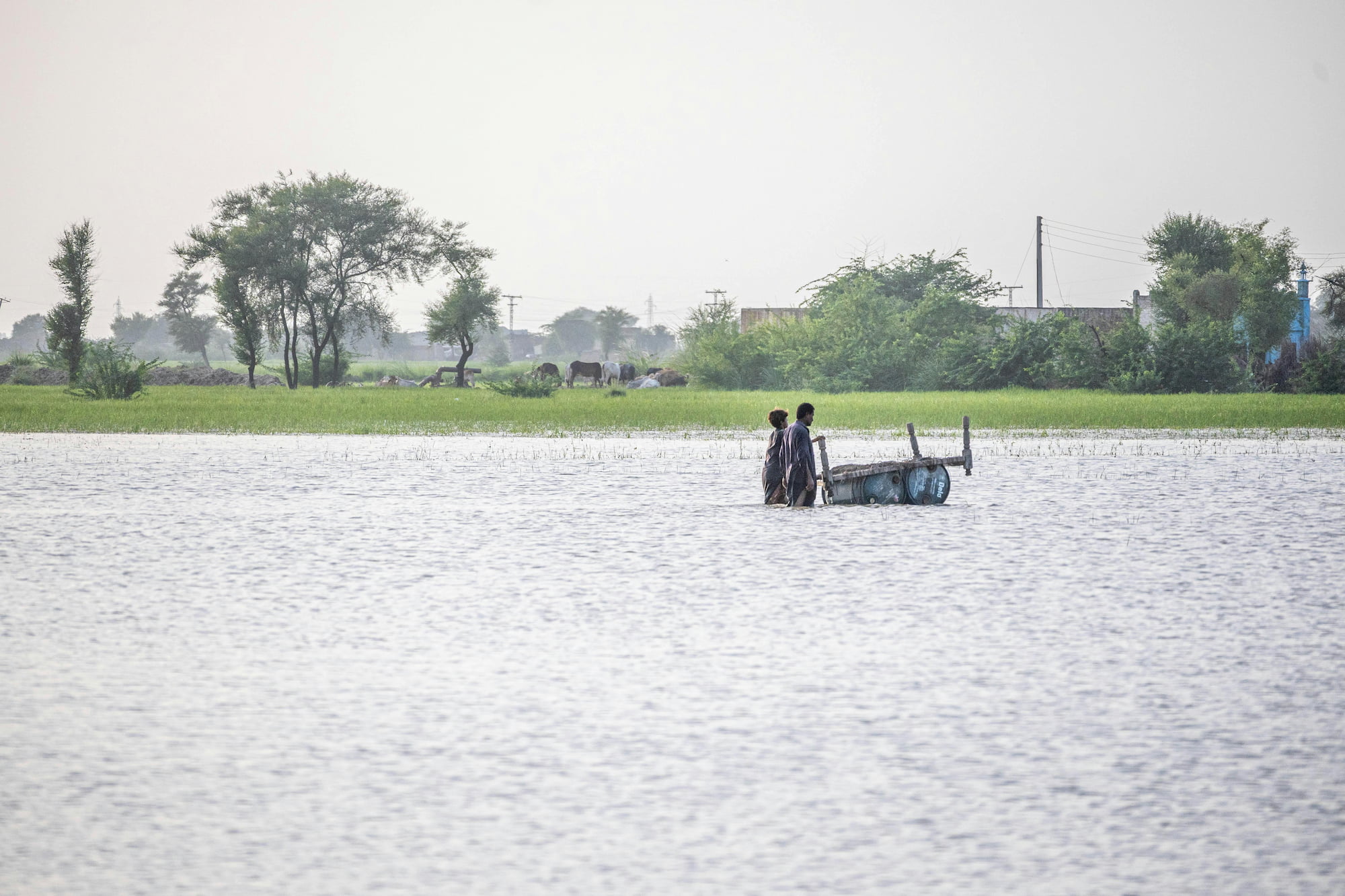 Large-scale flood hazard assessment