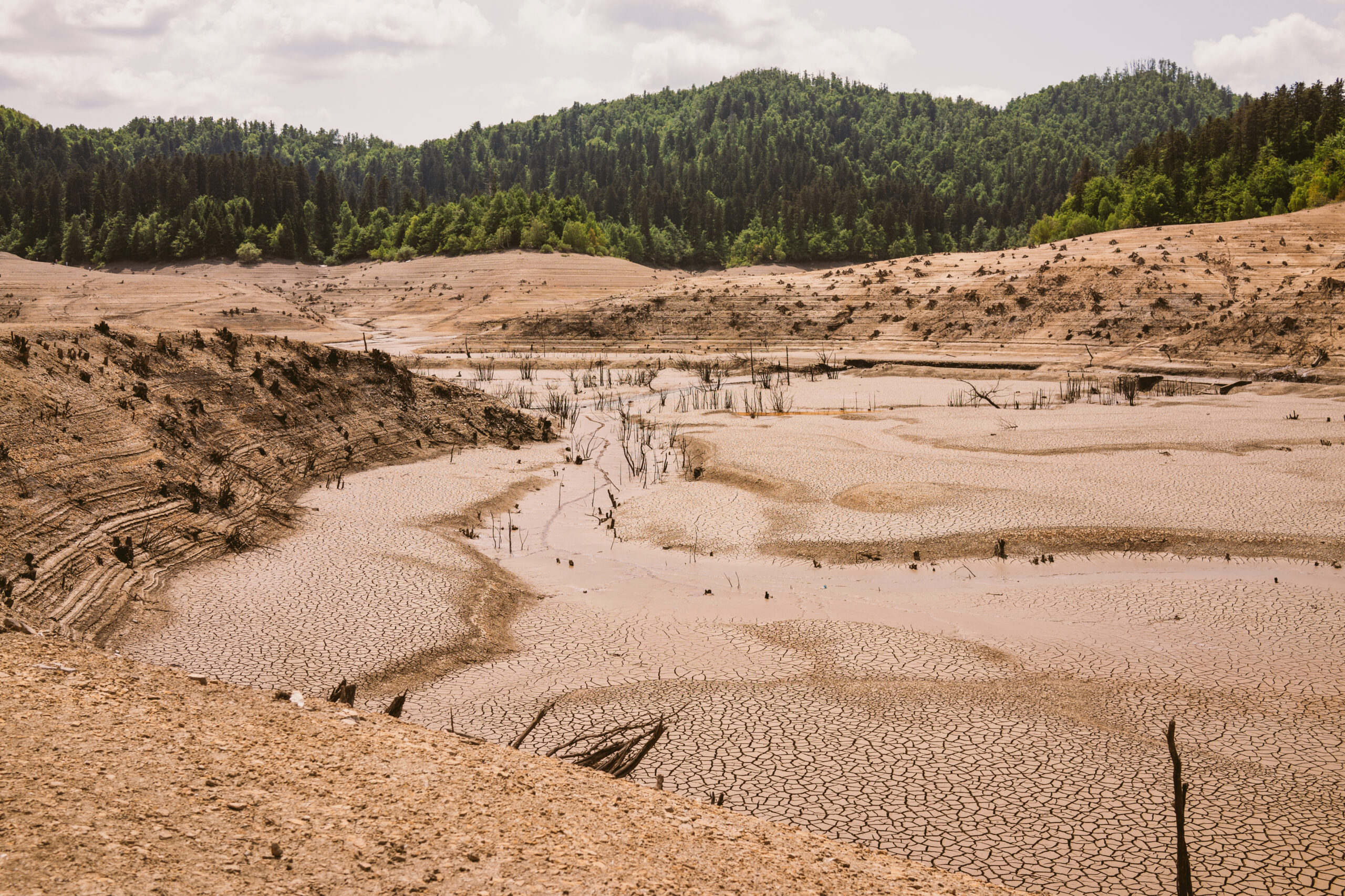 Large-scale flood hazard assessment