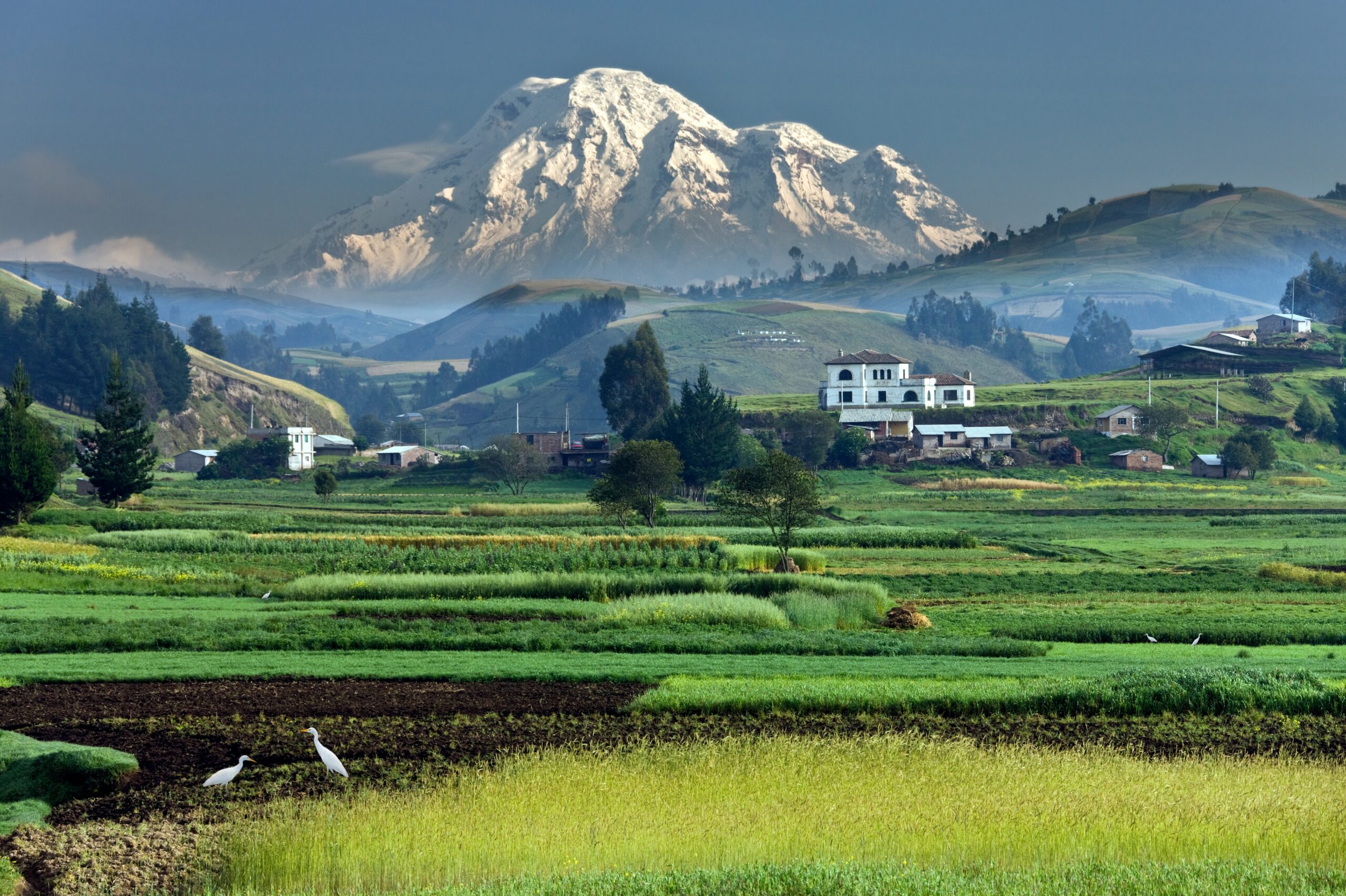 Large-scale flood hazard assessment