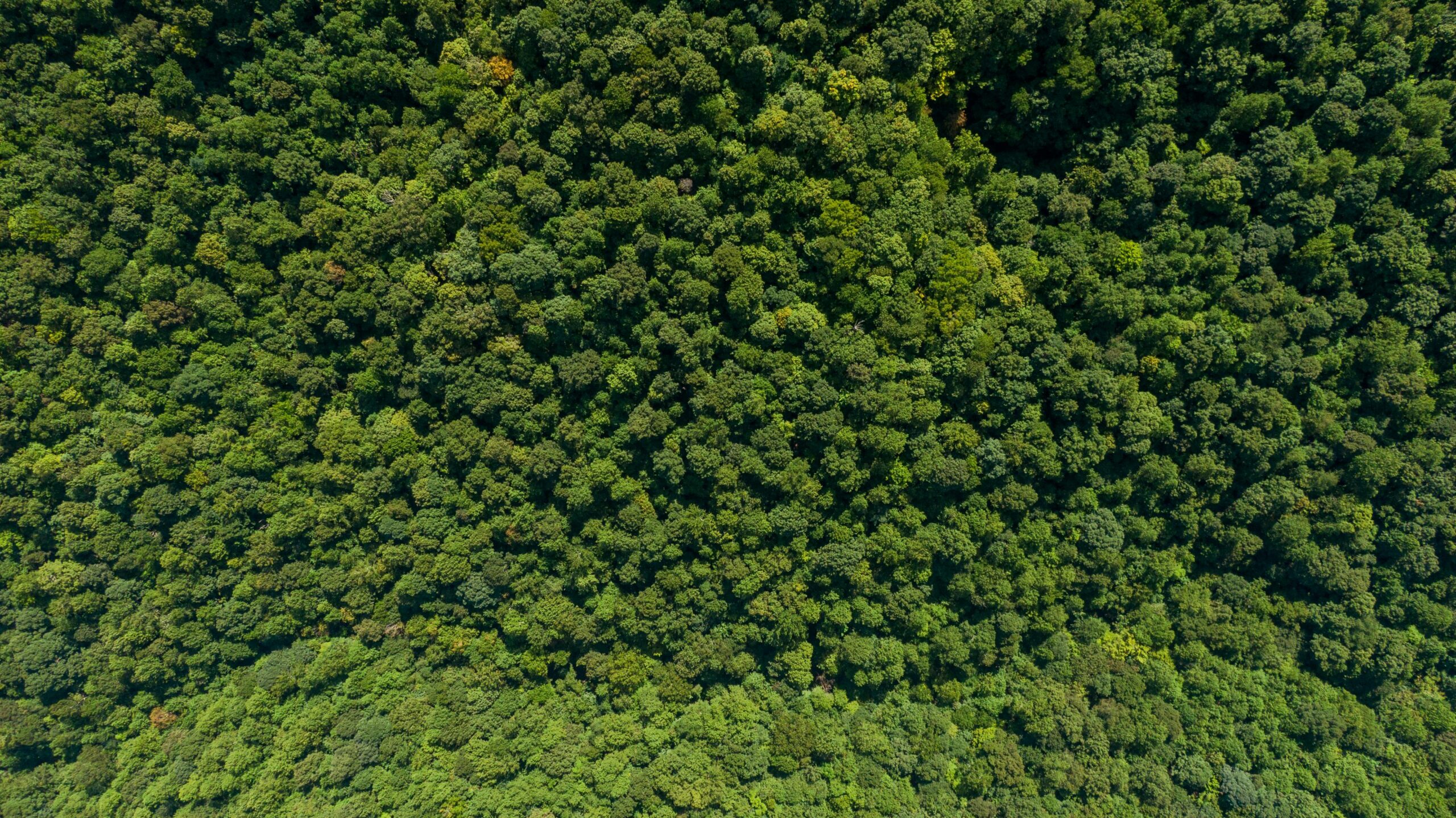 Large-scale flood hazard assessment