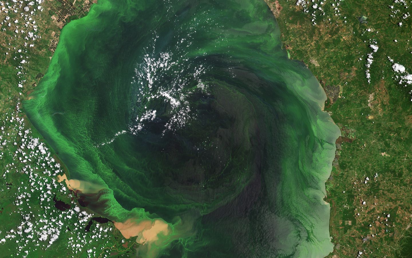 Water Quality - Knowledge Hub - ESA