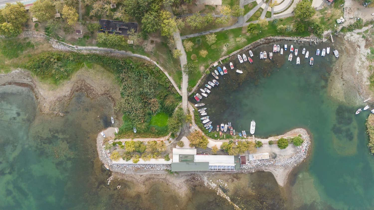 Large-scale flood hazard assessment