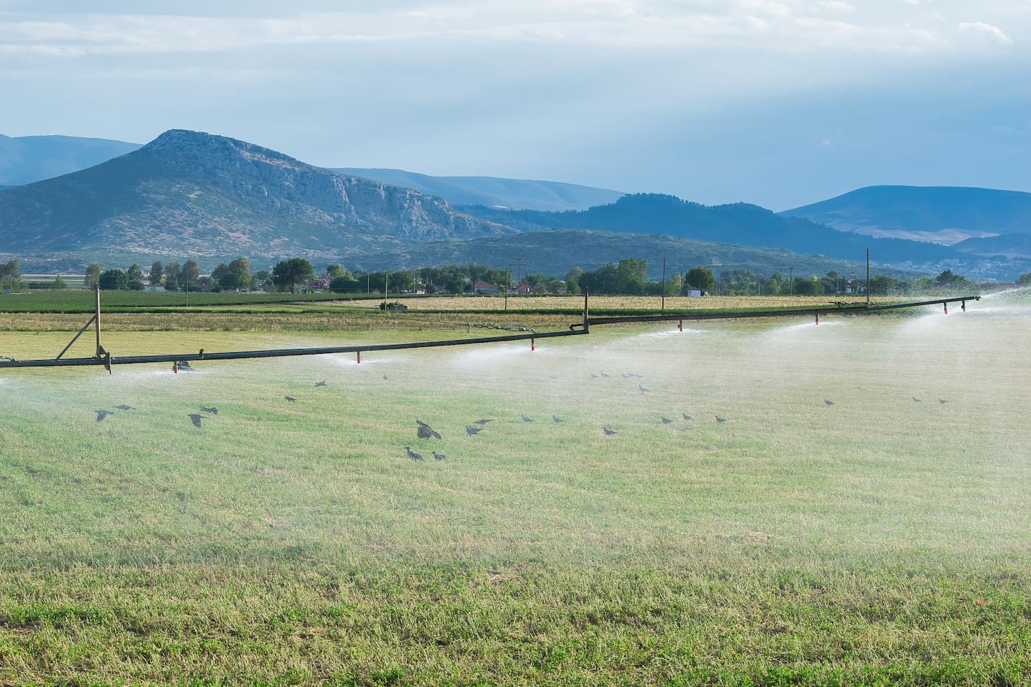 Large-scale flood hazard assessment