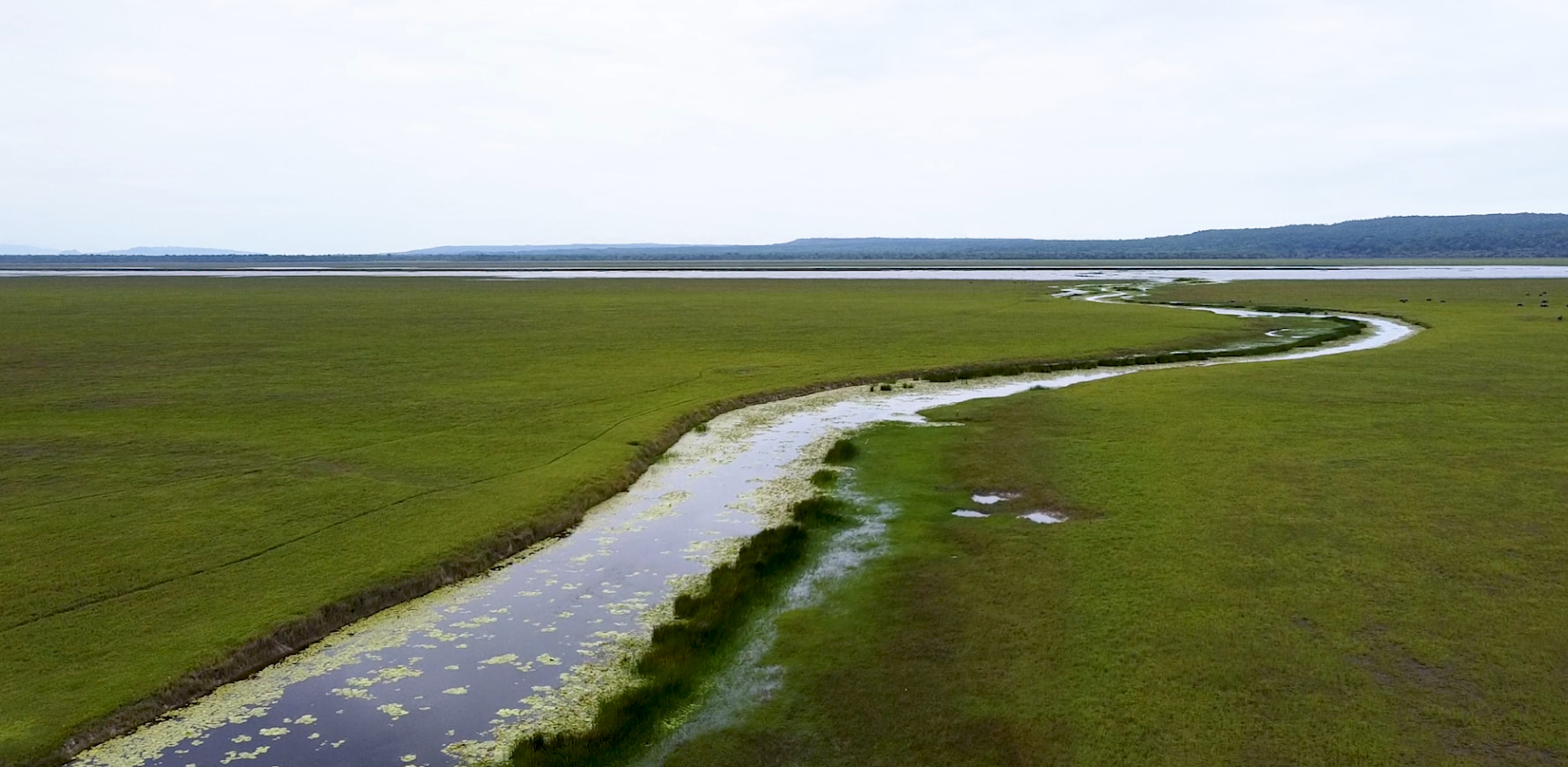 Large-scale flood hazard assessment