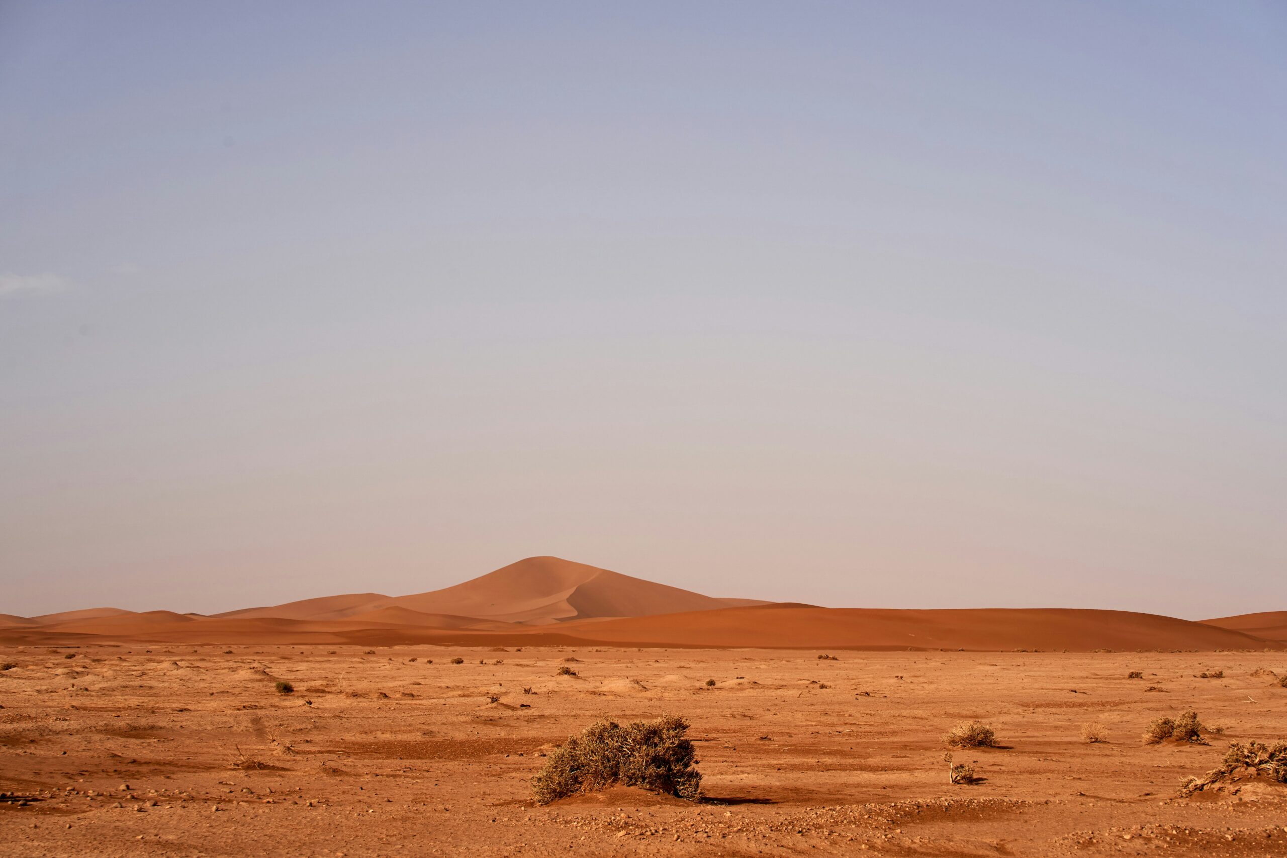 Large-scale flood hazard assessment