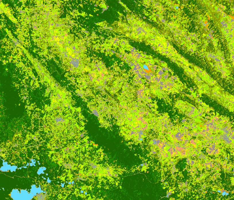 Java Forest Cover Forest Cover - Knowledge Hub - ESA