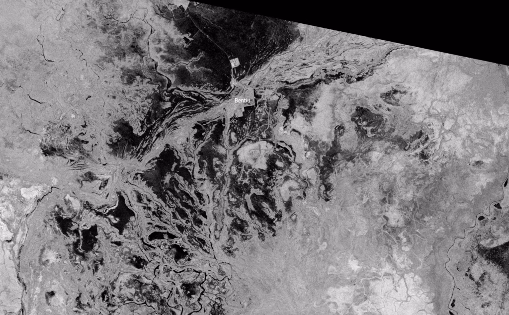 Sentinel-1 image showing flooding in Bentiu, SOuth Sudan