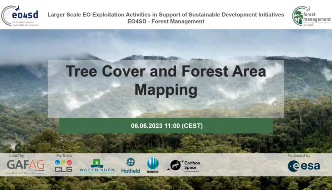 Large-scale flood hazard assessment