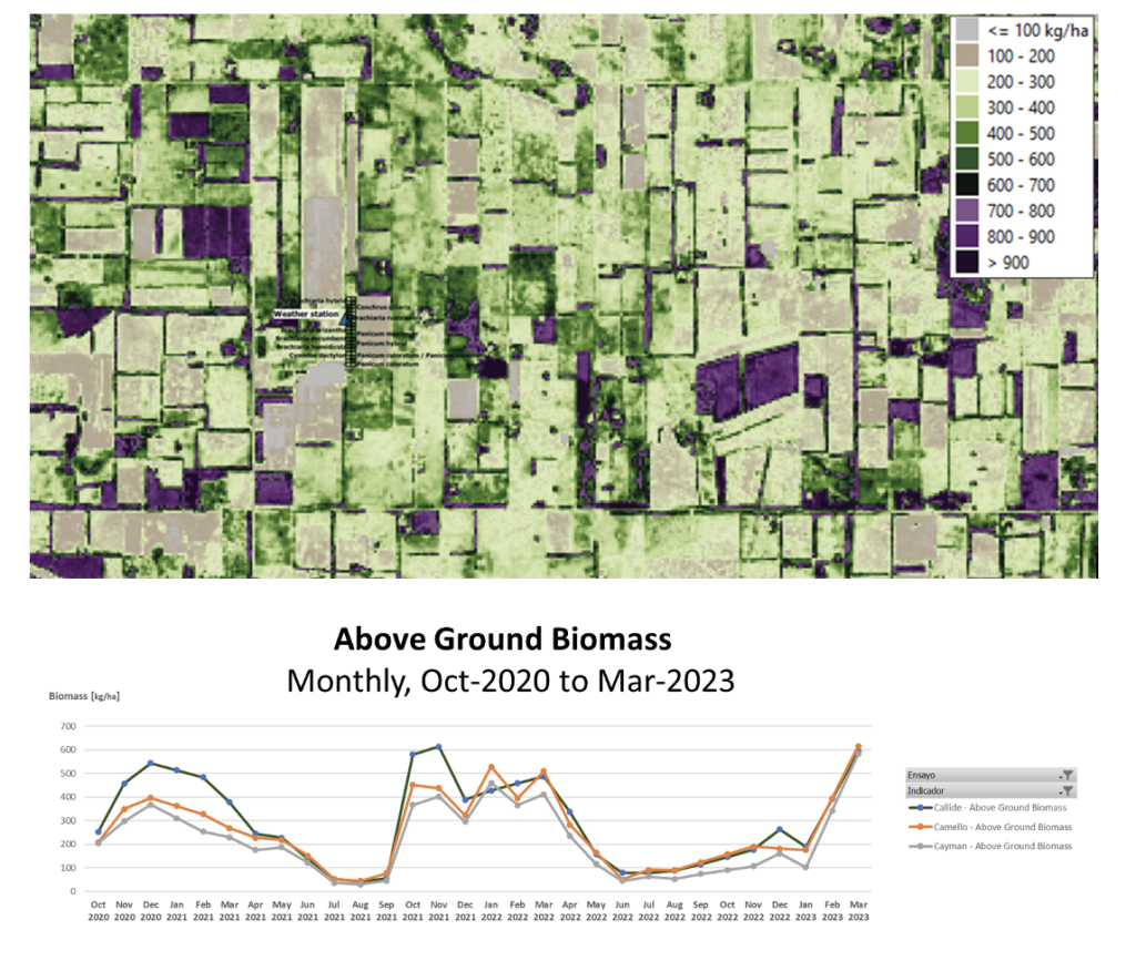 Map and chart showing biomass estimates in the study area (2020 – 2023)