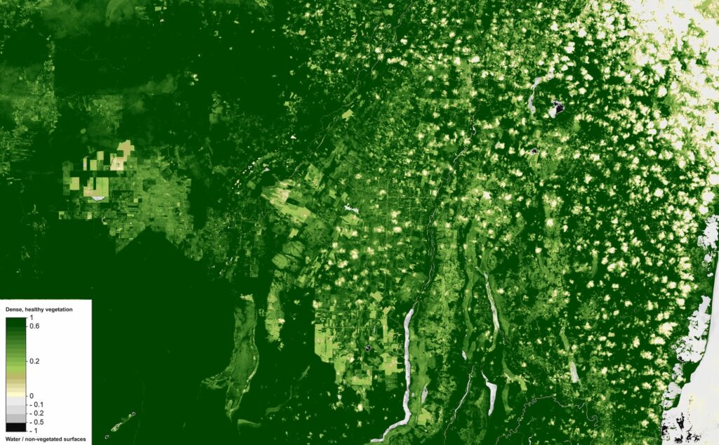 Normalized Difference Vegetation Index (NDVI), Orange Walk District, Belize