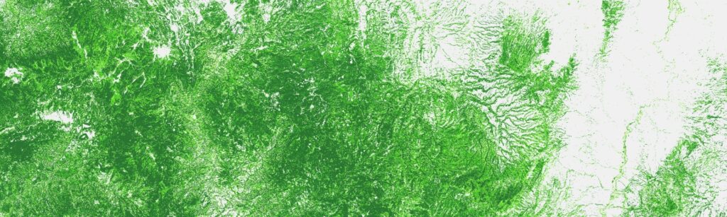 Tree cover Density